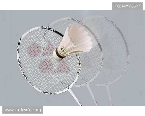 乐鱼娱乐官网入口网址官方入口地址常见安全风险及防范措施介绍