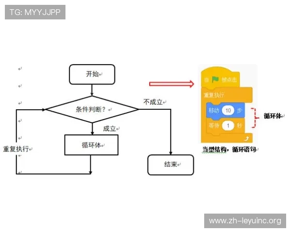乐鱼软件完成流水的详细流程和操作方法详尽解析